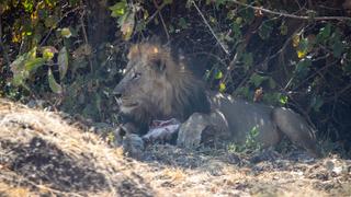 Tragedy Strikes Kakumbi Tragedy Strikes Kakumbi