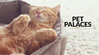 Pet Palaces