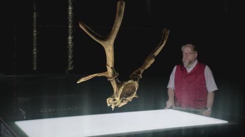 Secrets of the Star Disk