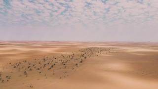 Hot life in Africa