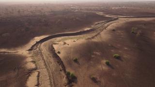 Leopard, Sand & Heat Leopard, Sand & Heat