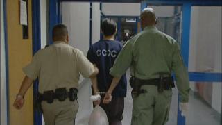 Toilet Paper Love Song