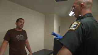 That Bites That Bites