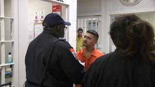 Gone to the Dogs Gone to the Dogs