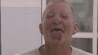 Pigeonholed Pigeonholed