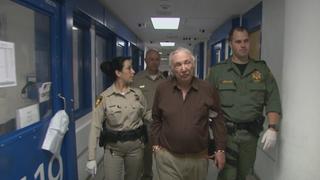 The Wild One The Wild One