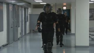 Phone Fight Phone Fight