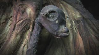 The Proof Is Out There