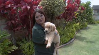 Pros & Cons Pros & Cons