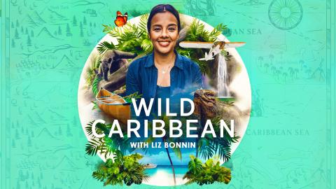Wild Caribbean with Liz Bonnin