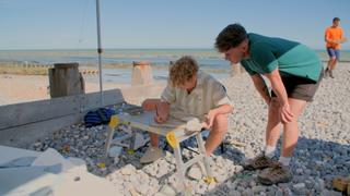 Beachside Worries Beachside Worries