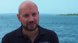 ECHO: The Penguin's Bodyguard ECHO: The Penguin's Bodyguard