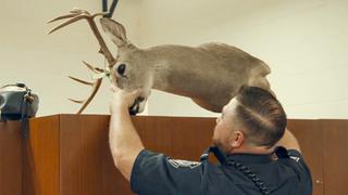 Yes, Deer? Yes, Deer?