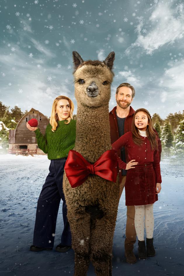 Christmas on the Alpaca Farm