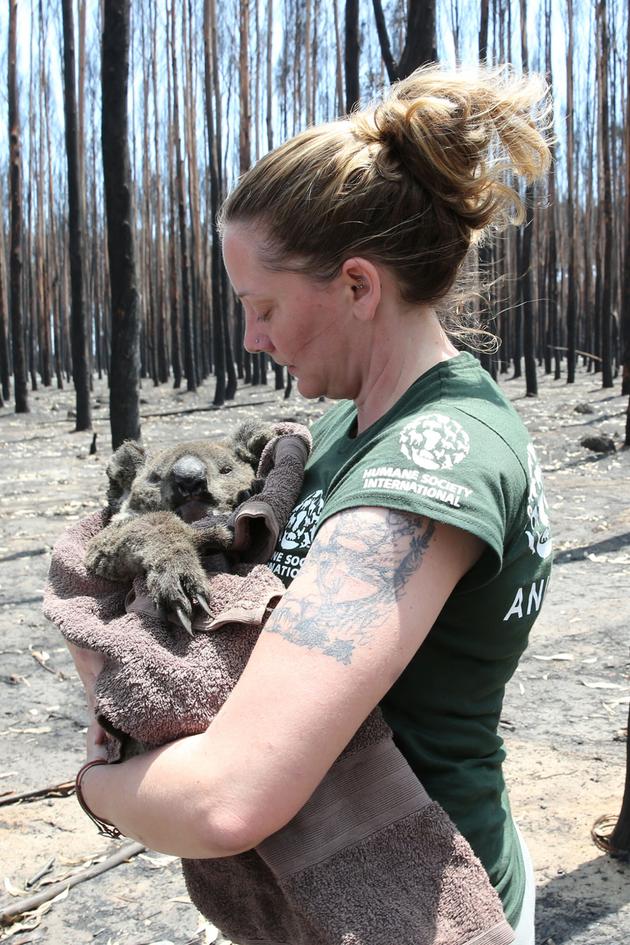 Australia on Fire: Climate Emergency
