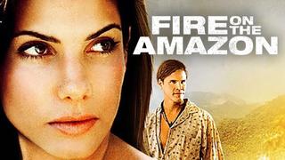 Fire on the Amazon