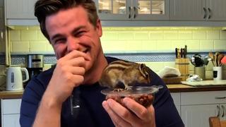 Pocket Pets