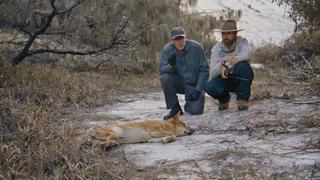 Don't Poke the Bear! Don't Poke the Bear!