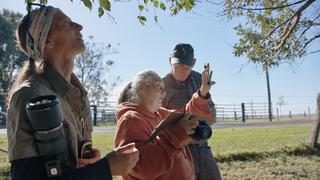 Koalas: Protecting an Icon Koalas: Protecting an Icon
