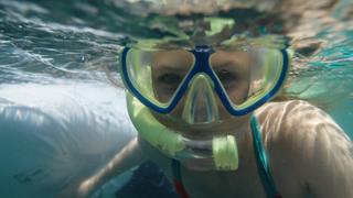 Nesting Turtles & Ocean Wonders Nesting Turtles & Ocean Wonders