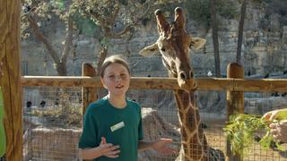 Zookeeper for a Day Zookeeper for a Day