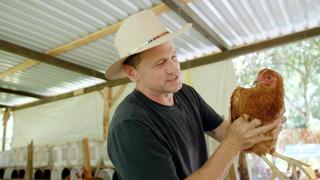 Spearfishing for Octopus in Mexico