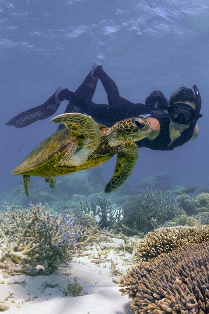 Deep Dive Australia