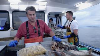 Fishing for Lobster in Maine