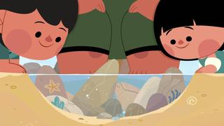 Meet the Rocks