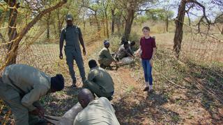 Catch Me If You Can Catch Me If You Can