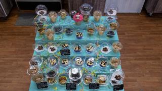 Bake to School: Bake Sale Bake to School: Bake Sale