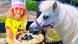 Feeding Animals Feeding Animals