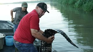 Swamp People