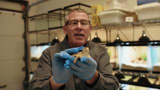 Zoos: The Wild and the Wonderful Zoos: The Wild and the Wonderful