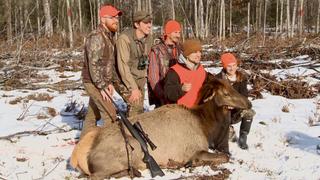 We Have Elk in Michigan? We Have Elk in Michigan?