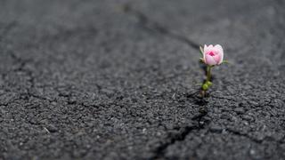 Finding Faith