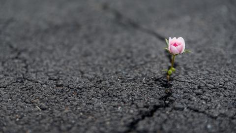 Finding Faith