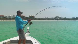Tarpon Town Tarpon Town