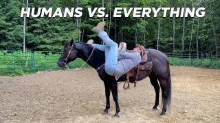 Humans Vs. Everything