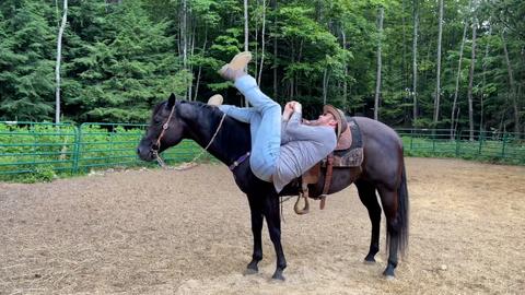 Humans VS. Everything ----- Humans vs. Each Other