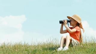 Shades of Colour Illusions, Body Transfer Illusion, Liars Paradox, Video and the Illusion of Moving Pictures, Rethinkers