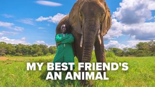 My Best Friend's An Animal