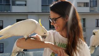 Bandit, Max, and George