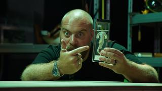 Bowhead Whale and Hammerhead Shark Bowhead Whale and Hammerhead Shark