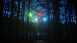 Rendlesham Forest, Back from the Future Rendlesham Forest, Back from the Future