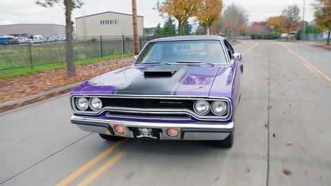 Purple Haze