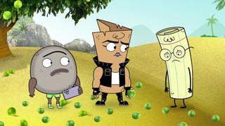 Key Limes; Six Pieces of Turkey