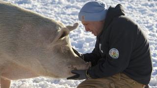 Toto, Banksi and Lucy