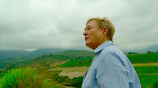 Winelands of the Cape