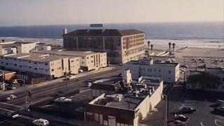 What in the Hell Is Happening? What in the Hell Is Happening?